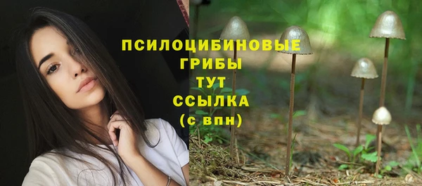 марки lsd Заволжск