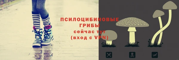 альфа пвп Заводоуковск