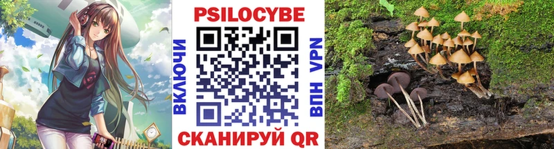 Псилоцибиновые грибы прущие грибы  Купить  Петушки 